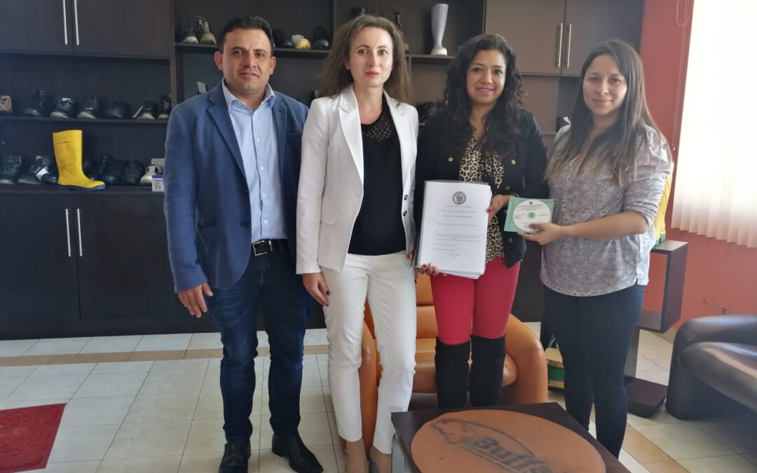 Entrega de productos de proyecto de investigación en la empresa de calzado Buffalo